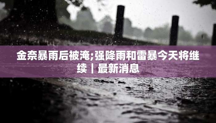 金奈暴雨后被淹;强降雨和雷暴今天将继续｜最新消息