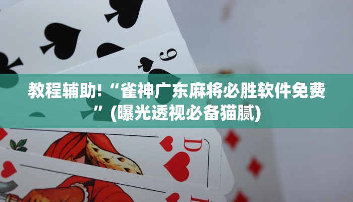 教程辅助!“雀神广东麻将必胜软件免费”(曝光透视必备猫腻)