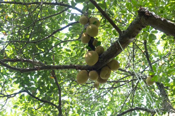 黑科技分享“wepoker开挂透视方法”（果然确实有挂）