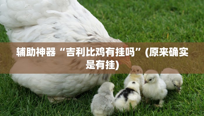 辅助神器“吉利比鸡有挂吗”(原来确实是有挂)