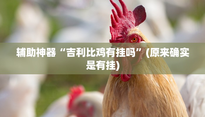 辅助神器“吉利比鸡有挂吗”(原来确实是有挂) 辅助神器“吉利比鸡有挂吗”(原来确实是有挂)