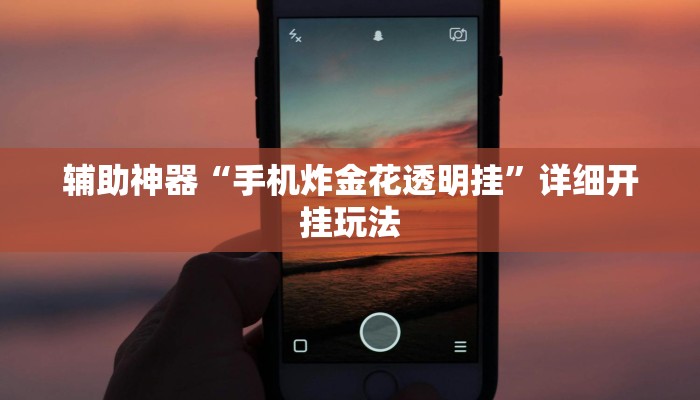 辅助神器“手机炸金花透明挂”详细开挂玩法