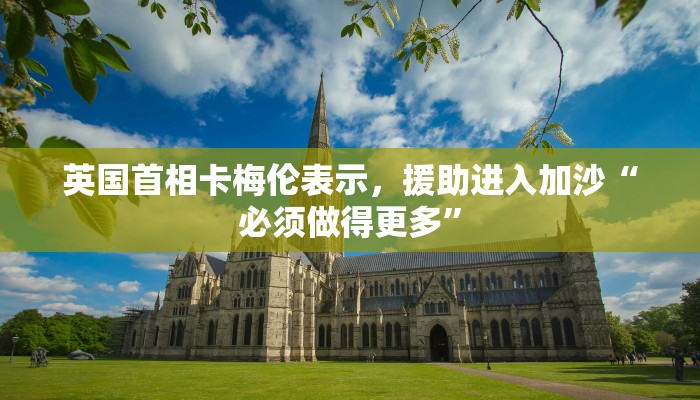 英国首相卡梅伦表示，援助进入加沙“必须做得更多”