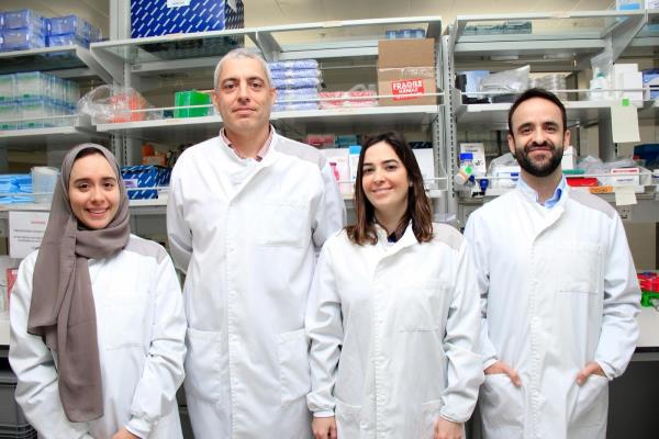 研究揭示了高度加工食品对大脑新陈代谢和嗅觉的影响