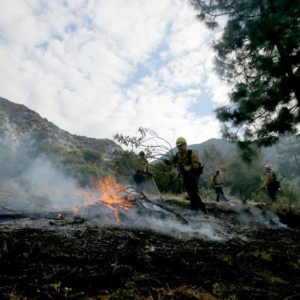 辅助神器“微乐江西麻将万能开挂器通用版”其实确实有挂