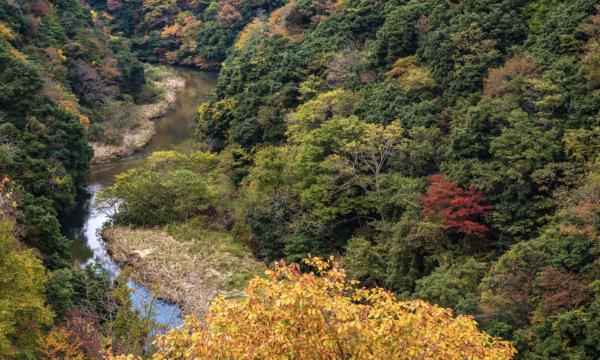 奥尼野下武里峡谷：徒步旅行者和文化爱好者的隐藏宝石
