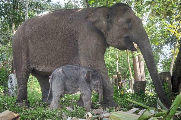 全渠道了解“微信牛牛房间房卡链接怎么买”官方渠道安全