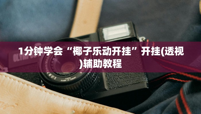 1分钟学会“椰子乐动开挂”开挂(透视)辅助教程