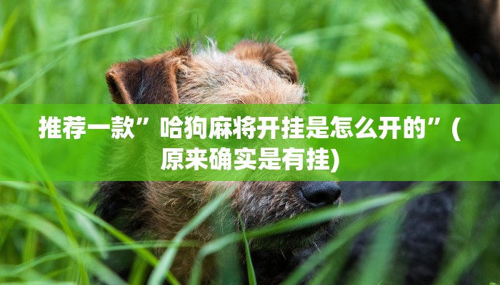 在这台爱普生家庭影院4K PRO-UHD激光投影仪上节省1200美元