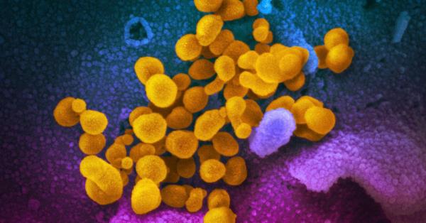 拜登政府成立办公室协调COVID长期应对措施