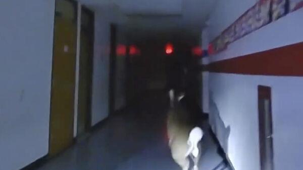 秒懂教程“新祥心房卡客服”官方渠道安全