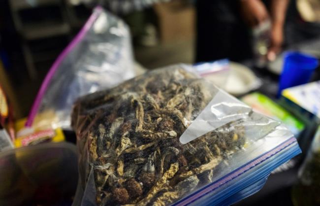 2分钟了解“金花链接房卡如何充”详细房卡怎么购买方式