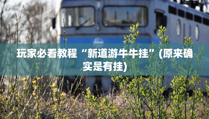 玩家必看教程“新道游牛牛挂”(原来确实是有挂)