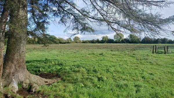 蒂珀雷里44英亩的土地已收到收购要约