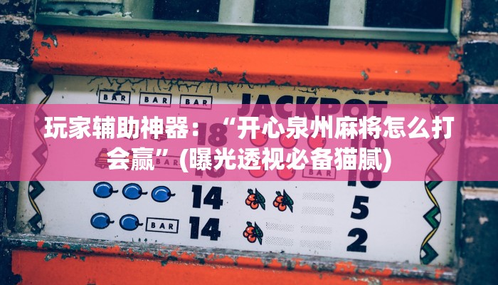 玩家辅助神器：“博乐填大坑辅助器免费下载”(曝光透视必备猫腻)