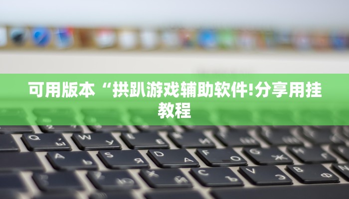可用版本“拱趴游戏辅助软件!分享用挂教程 可用版本“拱趴游戏辅助软件!分享用挂教程