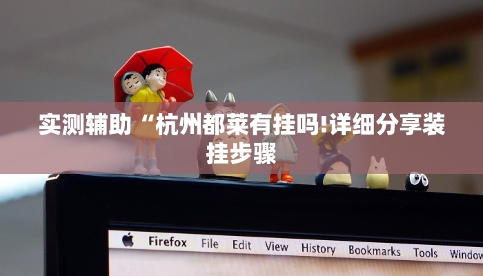 实测辅助“杭州都莱有挂吗!详细分享装挂步骤