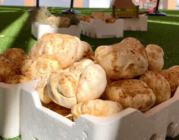 8分钟了解!微信上炸金花房间房卡-详细房卡怎么购买教程