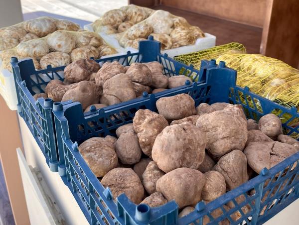 全渠道了解“微信开炸金花私人房间”获取房卡教程 全渠道了解“微信开炸金花私人房间”获取房卡教程