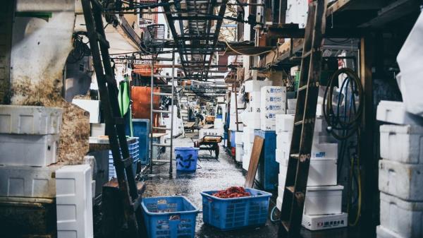 玩家必看教程“大宝苏北麻将有挂吗”开挂(透视)辅助教程