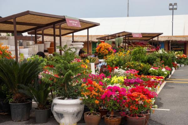 房卡一分钟了解“创建微信斗牛链接房卡”房卡详细使用教程 房卡一分钟了解“创建微信斗牛链接房卡”房卡详细使用教程