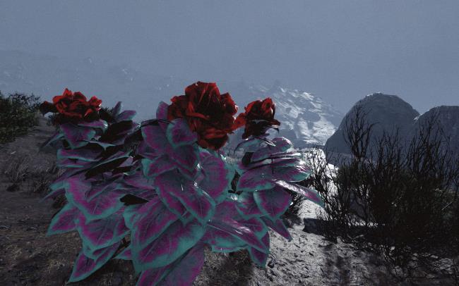 一分钟了解“链接炸金花房卡”房卡详细使用教程