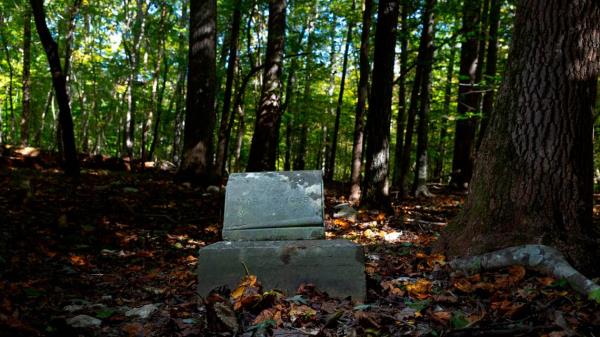 在北卡罗来纳州，人们可以和他们的宠物(或宠物骨灰)一起下葬吗？法律是这样的