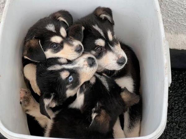 玩家攻略“炸 金花微信开房”详细房卡怎么购买教程