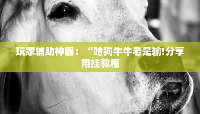 8分钟了解!牛魔王大厅怎么买房卡-链接如何购买 8分钟了解!牛魔王大厅怎么买房卡-链接如何购买