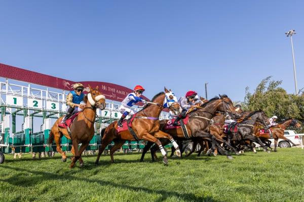 十分讲解!微信群斗牛链接大厅房卡-获取房卡教程 十分讲解!微信群斗牛链接大厅房卡-获取房卡教程