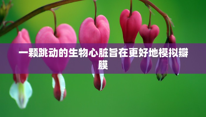 讲解!微信牛牛房卡多少钱一张金花-链接教程- 讲解!微信牛牛房卡多少钱一张金花-链接教程-