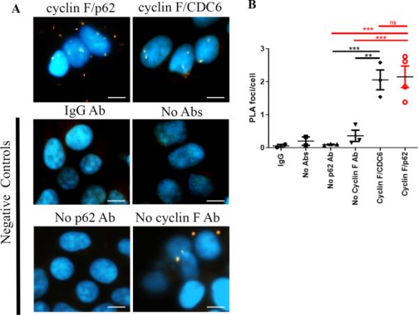6分钟了解!微信群斗牛链接大厅房卡-链接教程- 6分钟了解!微信群斗牛链接大厅房卡-链接教程-