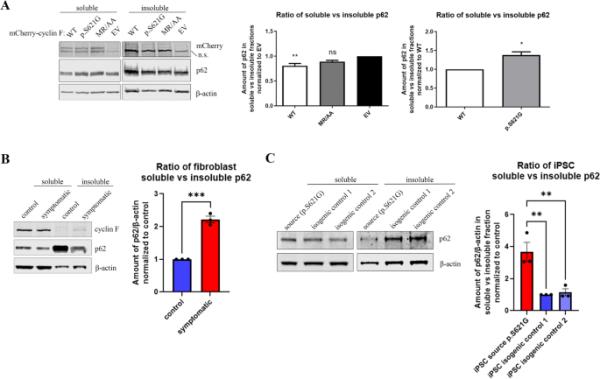 玩家知识“wepoker透视辅助插件”透视（详细用挂秘诀）