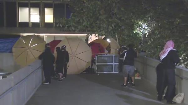 教程辅助!“陕麻圈开挂神器”其实确实有挂