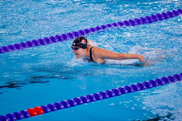 秒懂教程“美猴王棋牌房卡”获取房卡方式