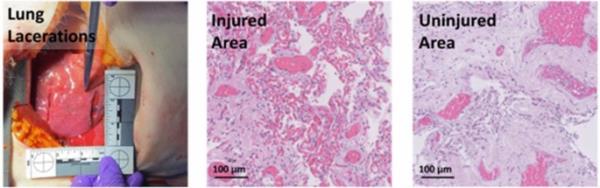 玩家必看“炸金花房卡
”房卡详细使用教程