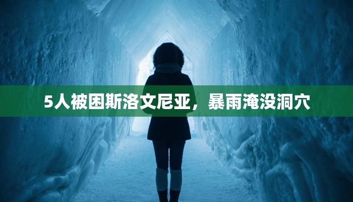 玩家攻略必备德扑之星透视软件方法!原来有挂教程