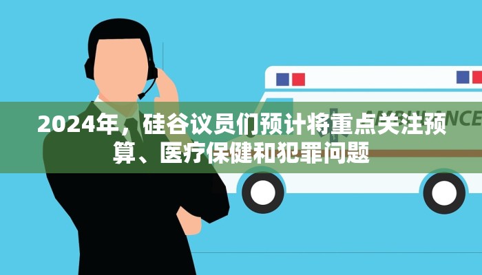 2024年，硅谷议员们预计将重点关注预算、医疗保健和犯罪问题