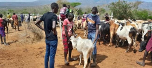 一分钟介绍“微信链接大厅金花房间卡
”详细房卡教程 一分钟介绍“微信链接大厅金花房间卡
”详细房卡教程