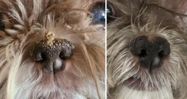 一分钟了解“新详心大厅房卡怎么买”房卡详细使用教程 一分钟了解“新详心大厅房卡怎么买”房卡详细使用教程