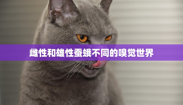 一分钟普及“茄子娱乐房卡怎么买”详细房卡教程 一分钟普及“茄子娱乐房卡怎么买”详细房卡教程