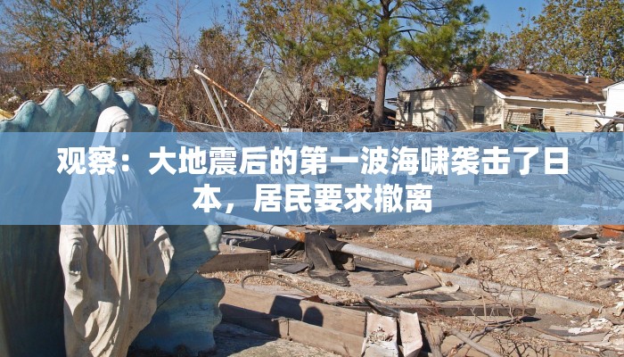 教程辅助!“博乐填大坑辅助软件下载安卓!详细分享装挂步骤