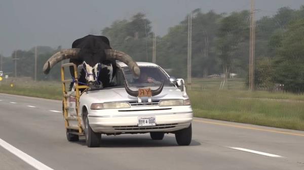 有人报警说公牛坐在车里内布拉斯加州的警察见到了“你好杜迪”