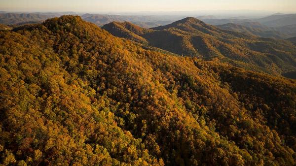 最新辅助“wepoker开挂透视辅助软件”透视（原来确实有挂）