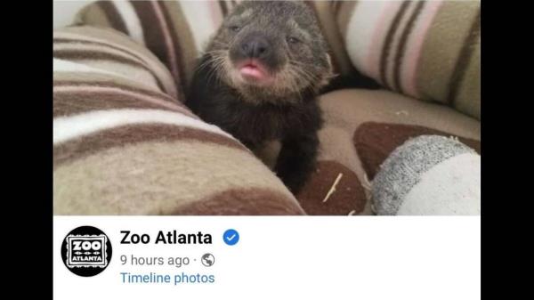 秒懂教程“新海贝大厅怎么买房卡”获取房卡方式 秒懂教程“新海贝大厅怎么买房卡”获取房卡方式