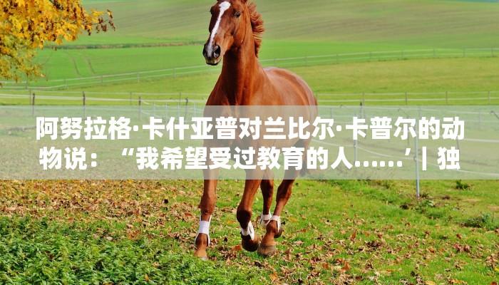 1分钟学会“小宝跑得快开挂”详细开挂玩法