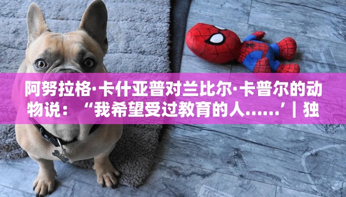 今日教程“新海贝大厅在哪买房卡-(详细分享开挂教程)