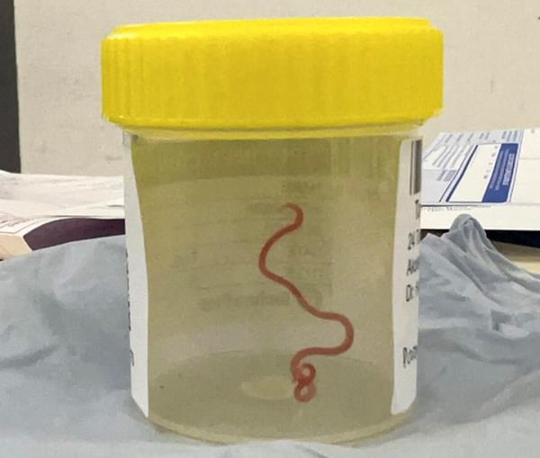 一分钟介绍“微信新拼三张链接大厅房卡”房卡详细使用教程 一分钟介绍“微信新拼三张链接大厅房卡”房卡详细使用教程