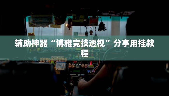 辅助神器“博雅竞技透视”分享用挂教程
