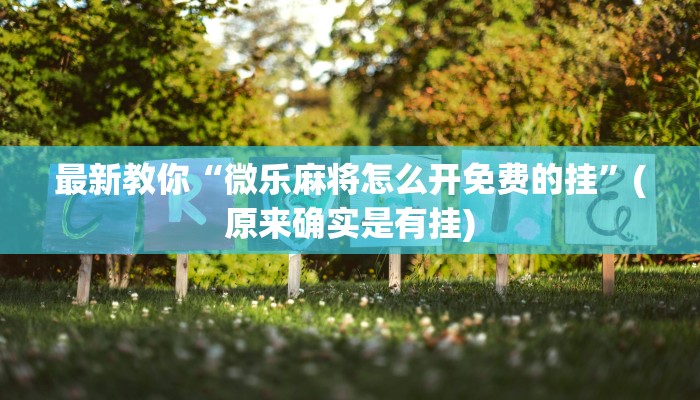 最新教你“微乐麻将怎么开免费的挂”(原来确实是有挂)